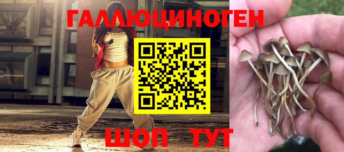 Псилоцибиновые грибы Magic Shrooms Шебекино